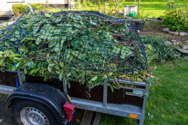 Trusted Kirby, TX Junk Removal Services Experts
